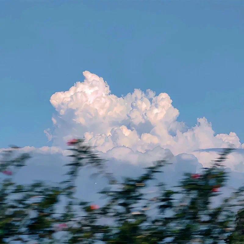 🌸🌴🌫️❄️