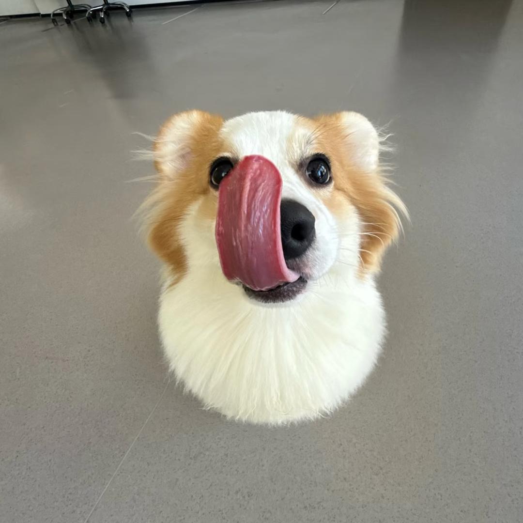 Lykke