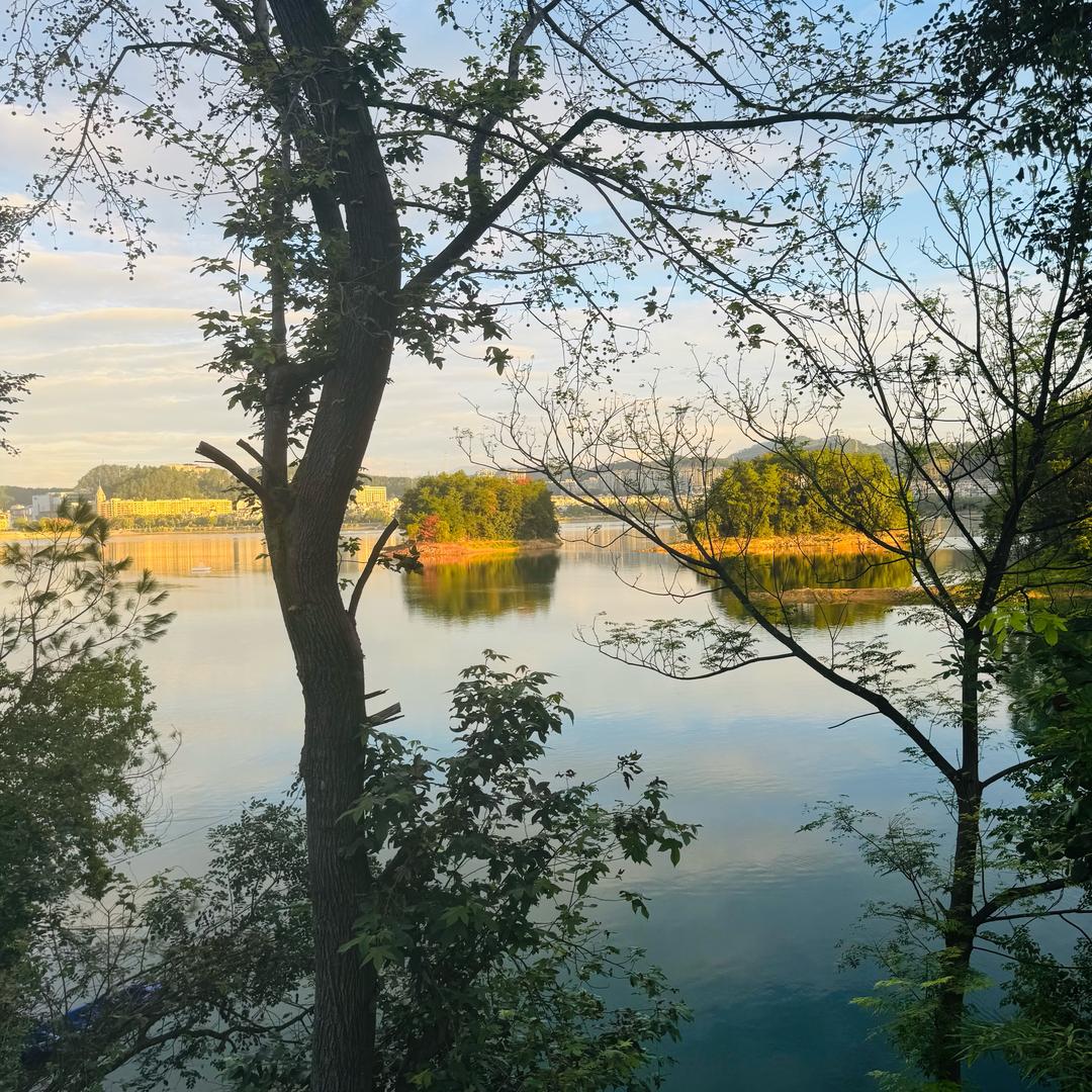 棍棍晚上吃什么