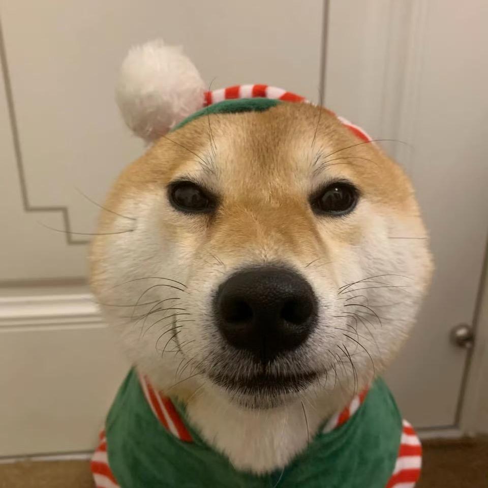 楂楂