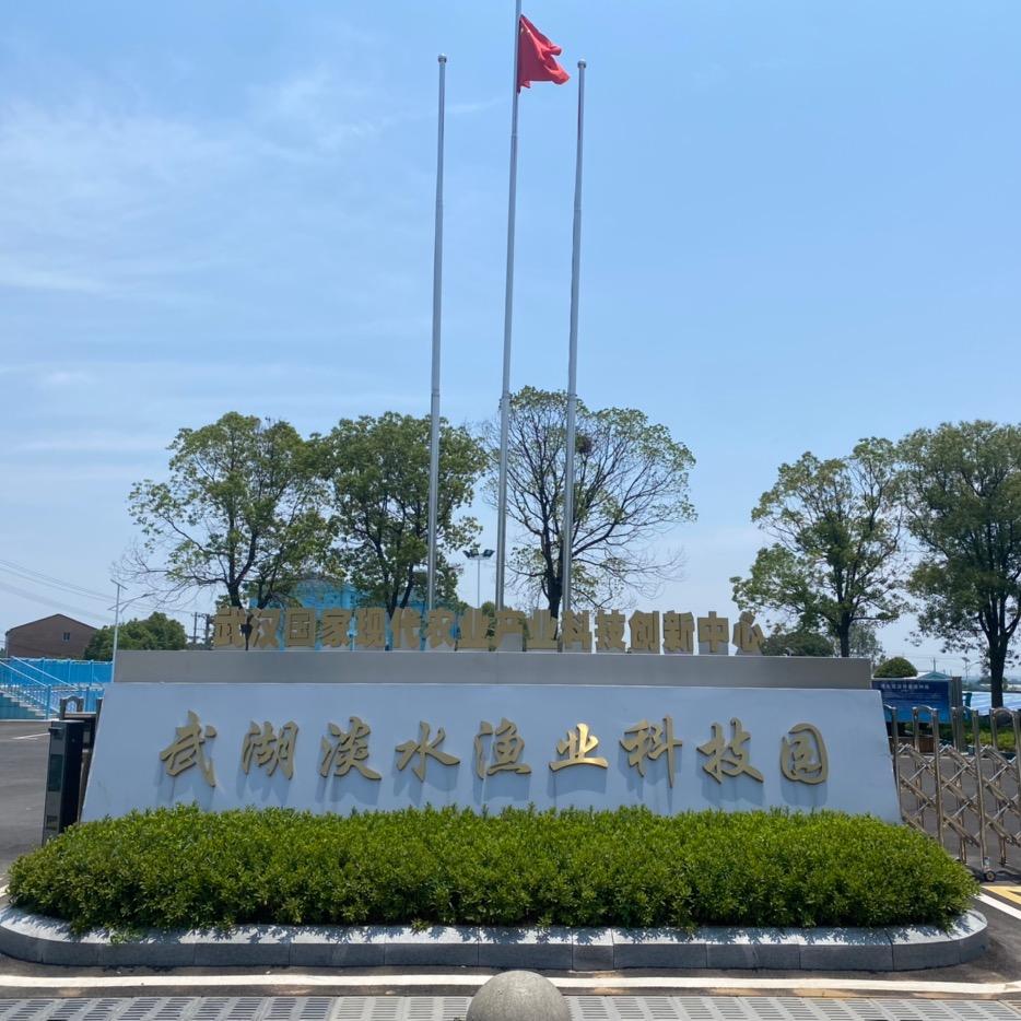 湖北武汉青鱼原种场