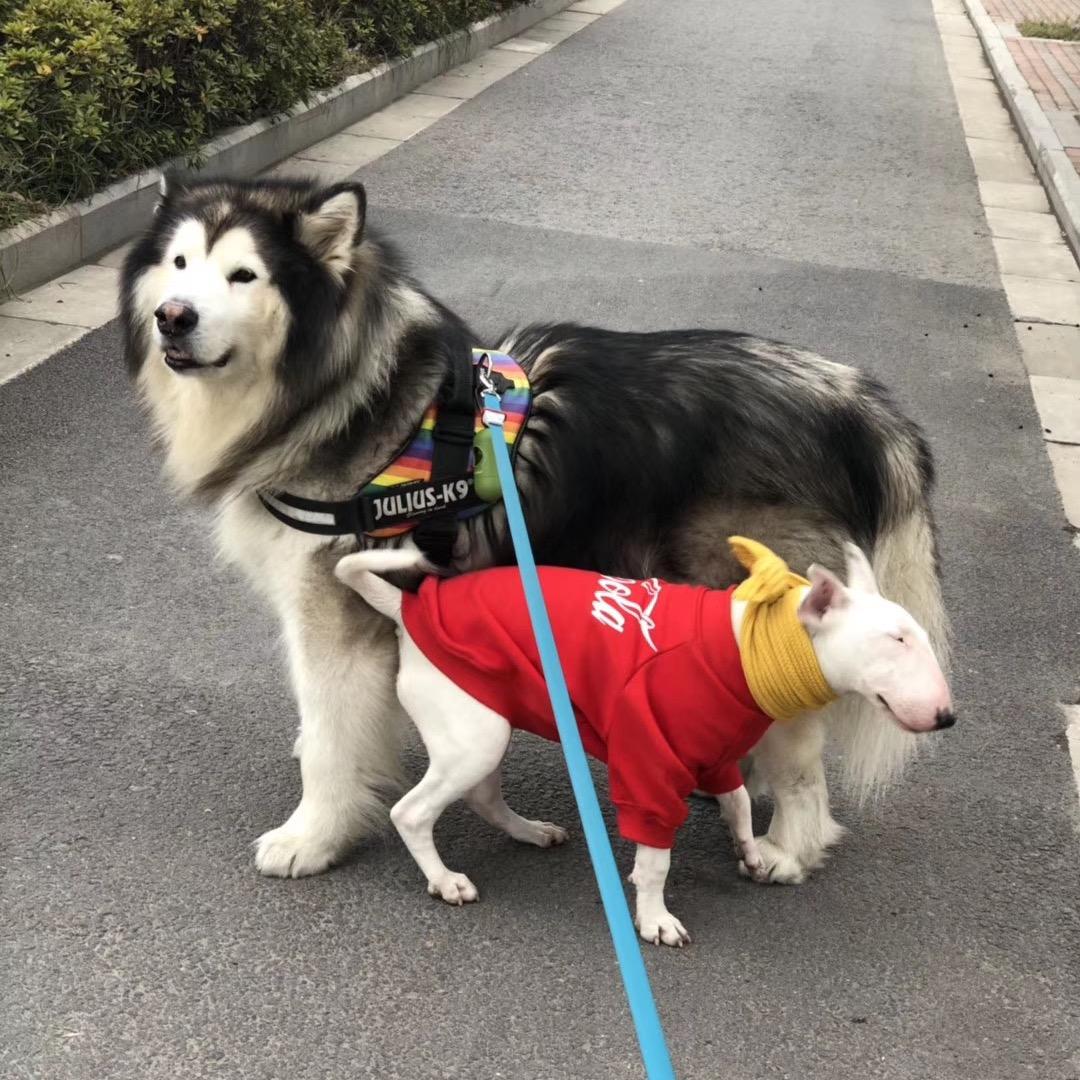 大表姐是我