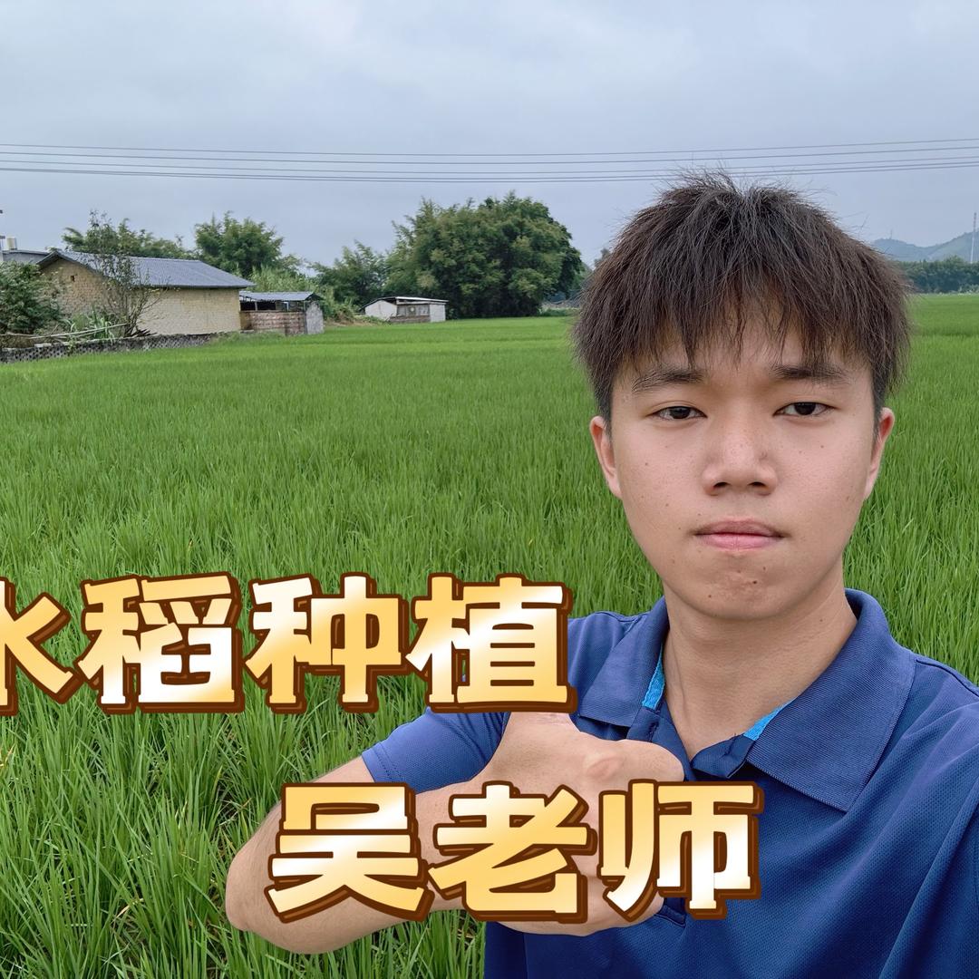 吴老师聊植保
