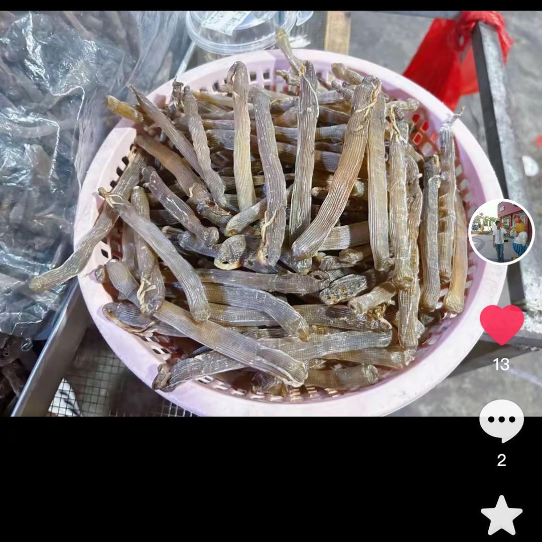 小蒋