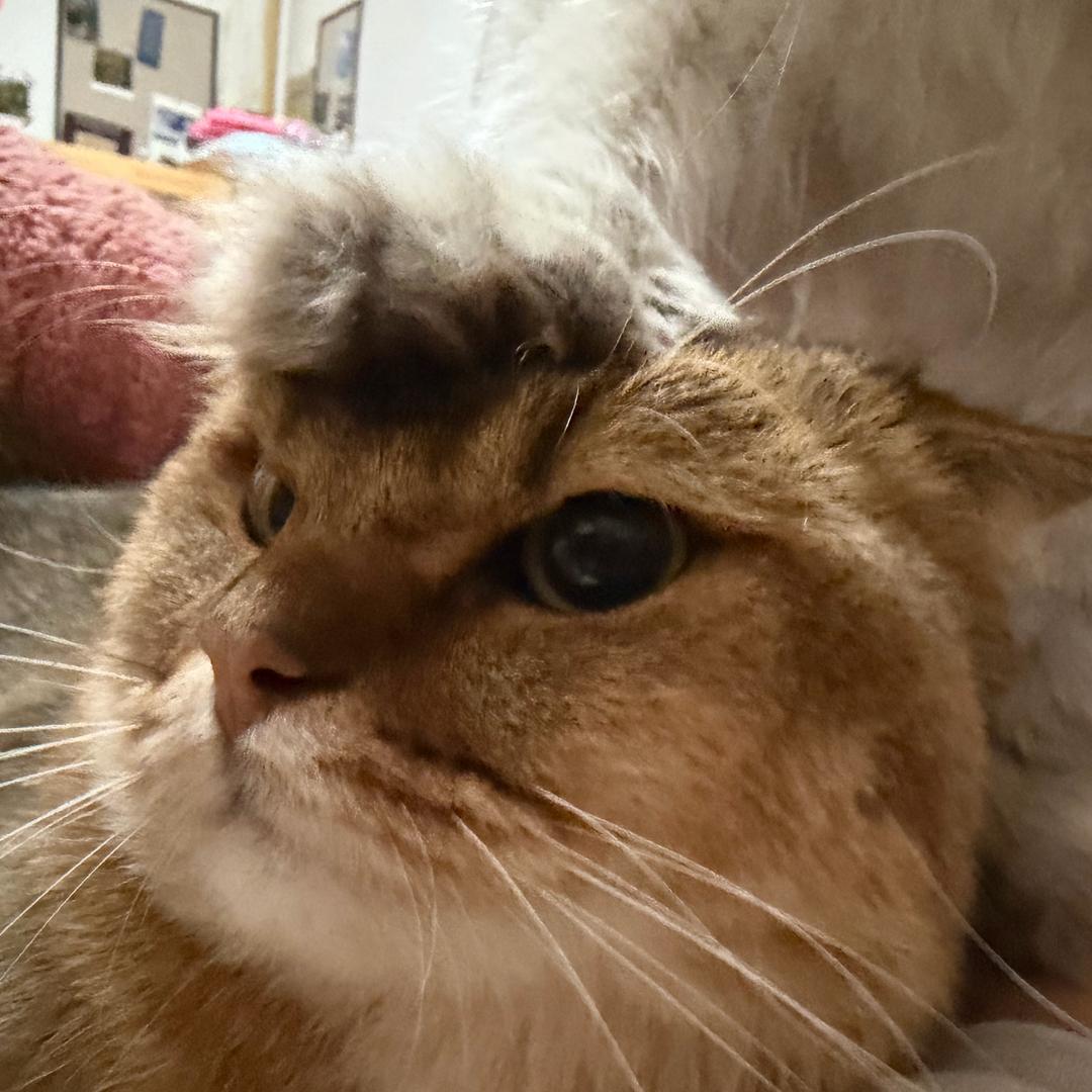 永康市慕嫣包装材料