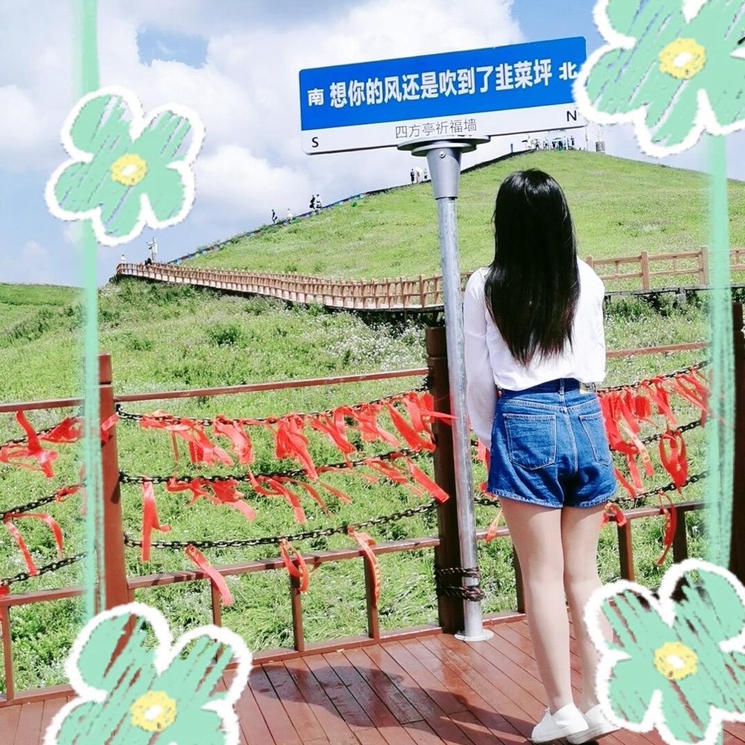念  【您】💔