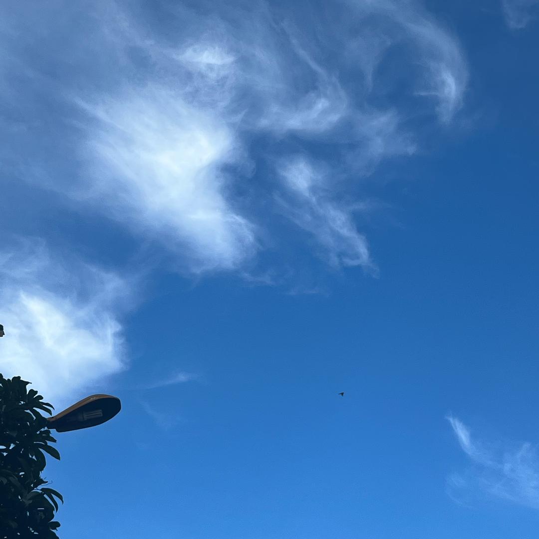 小🉑️❤️～^_^