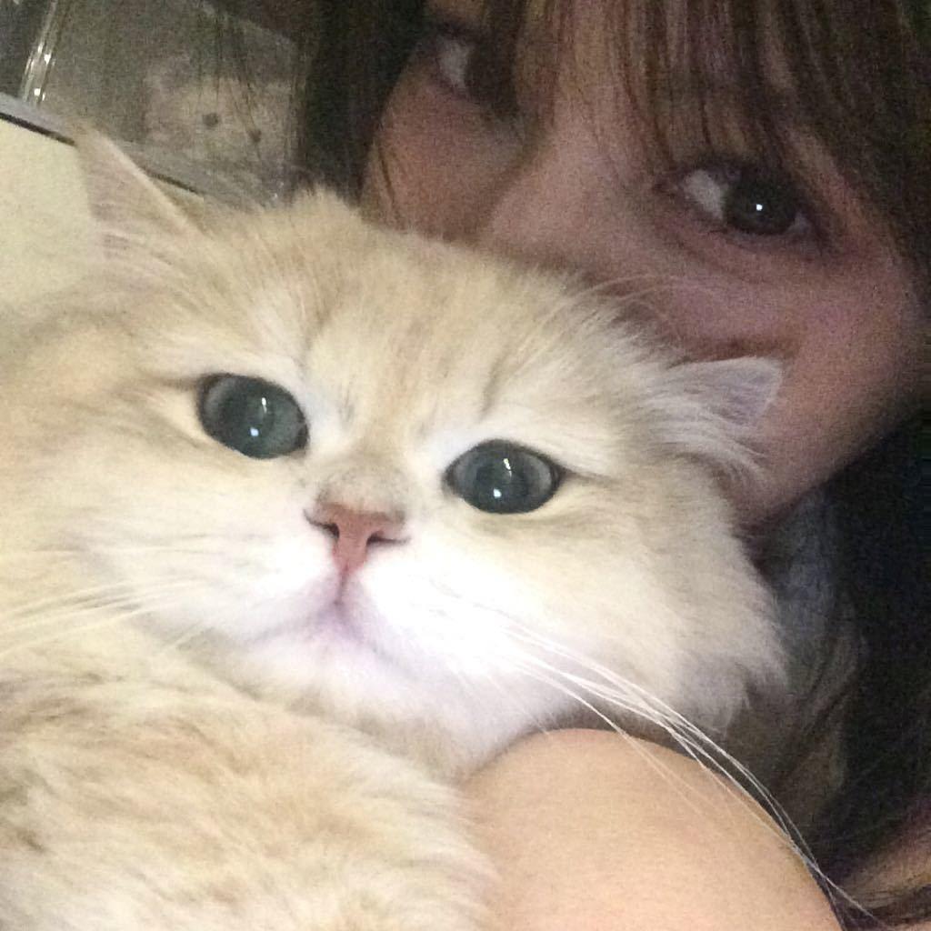 RoRo