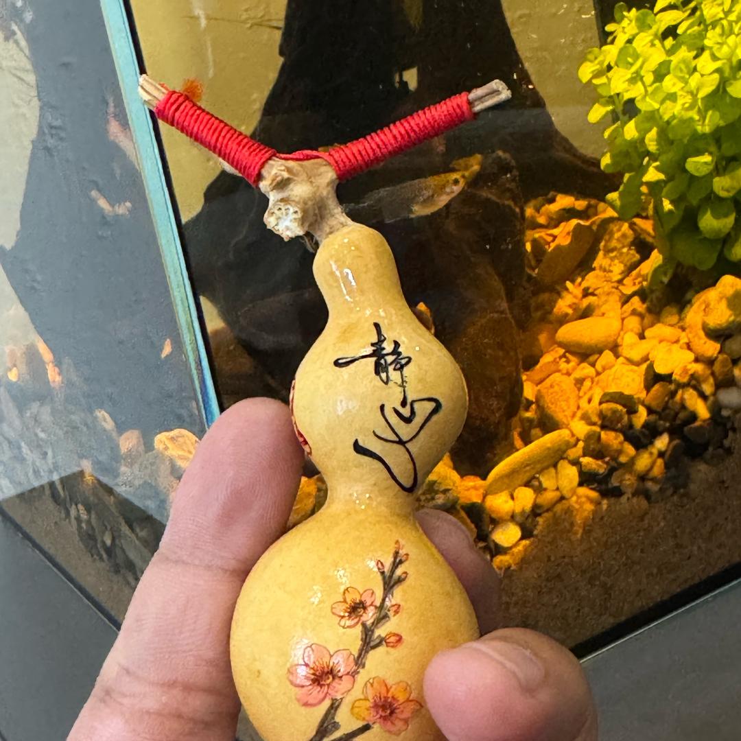龙道阿宽