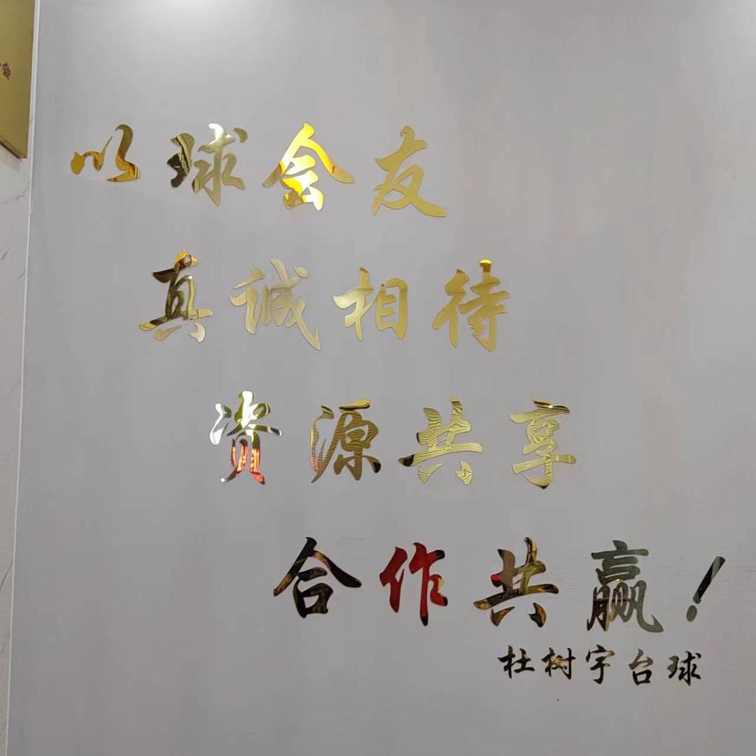 杜树宇竞技台球（战队直播号）