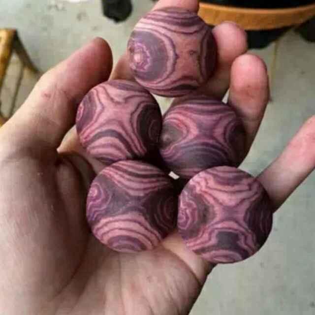 海南黄花梨文玩新风尚