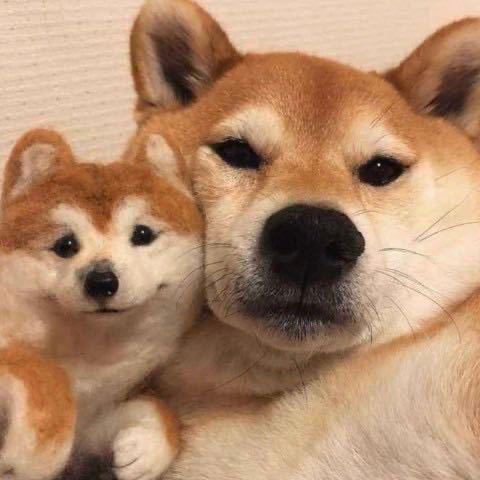 Zz~
