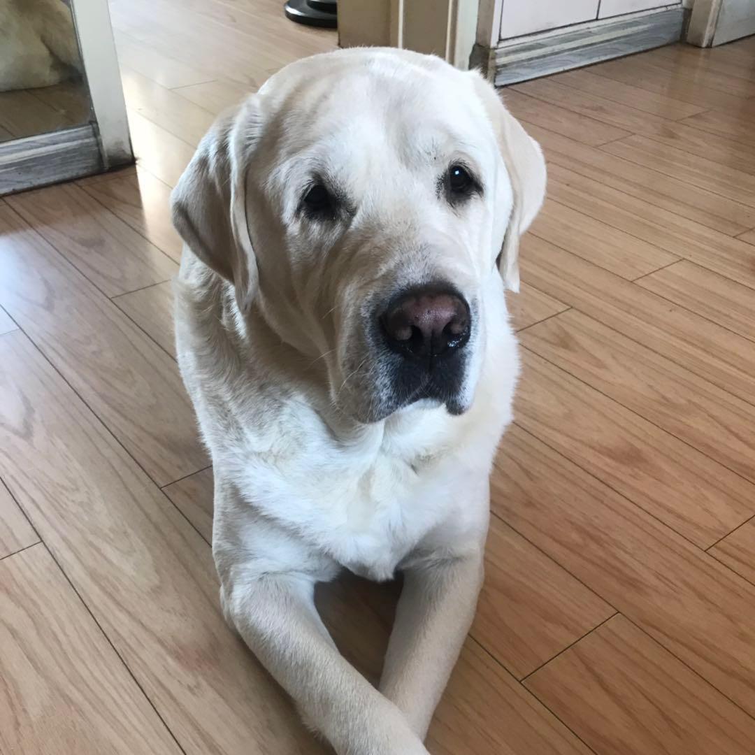 宜都市杰纽商贸店