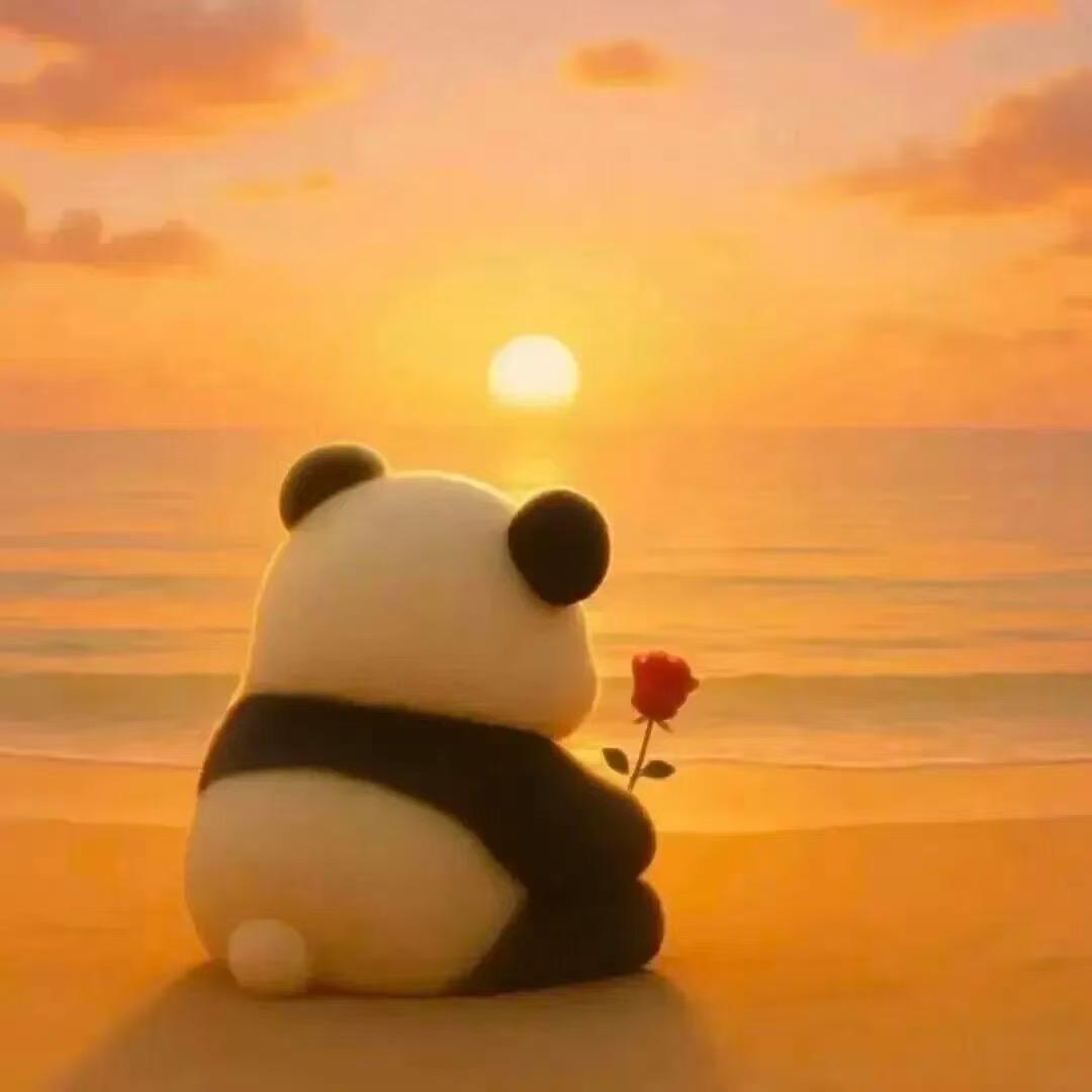 时光清浅处，一步一安然