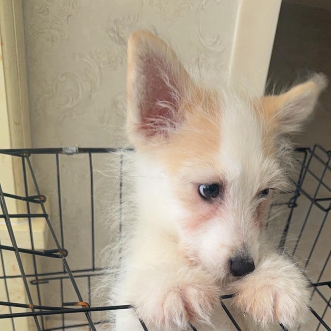 🔥🔥六年级班主任