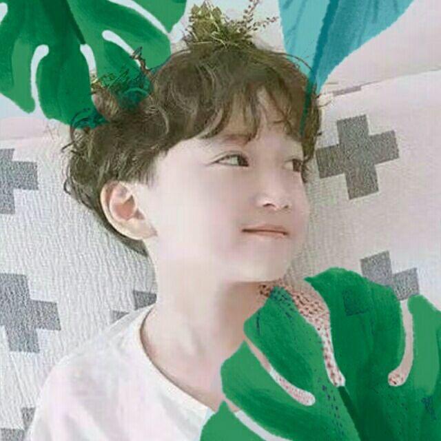 厨房小能手