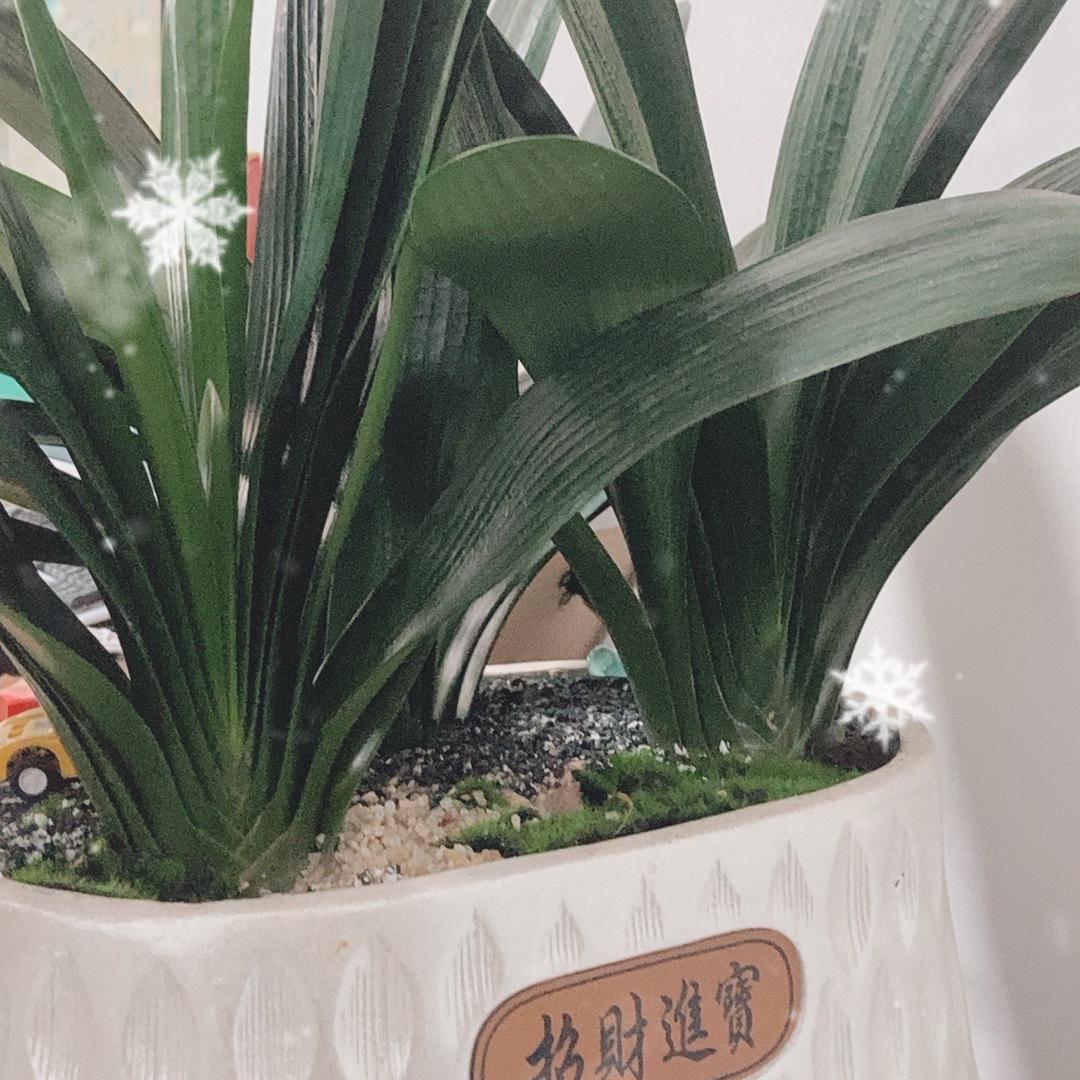 豪豪鞋帽