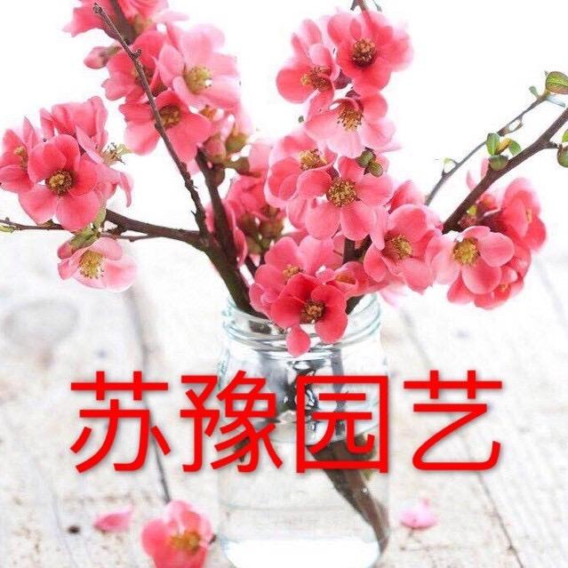 苏豫园艺
