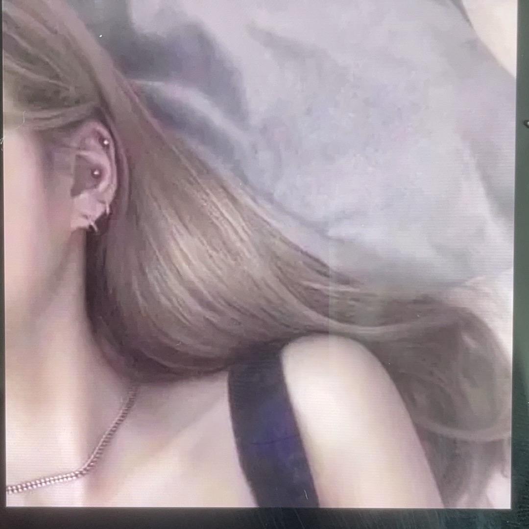 开屏凤凤