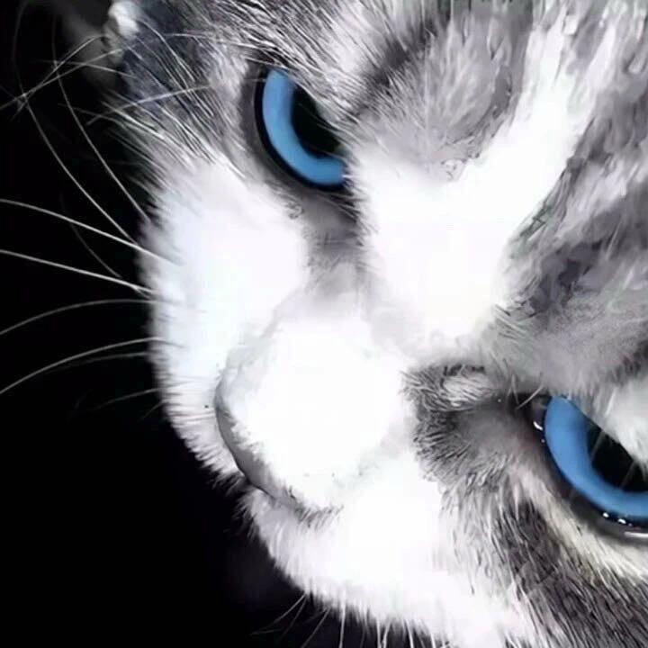 南忆雪·