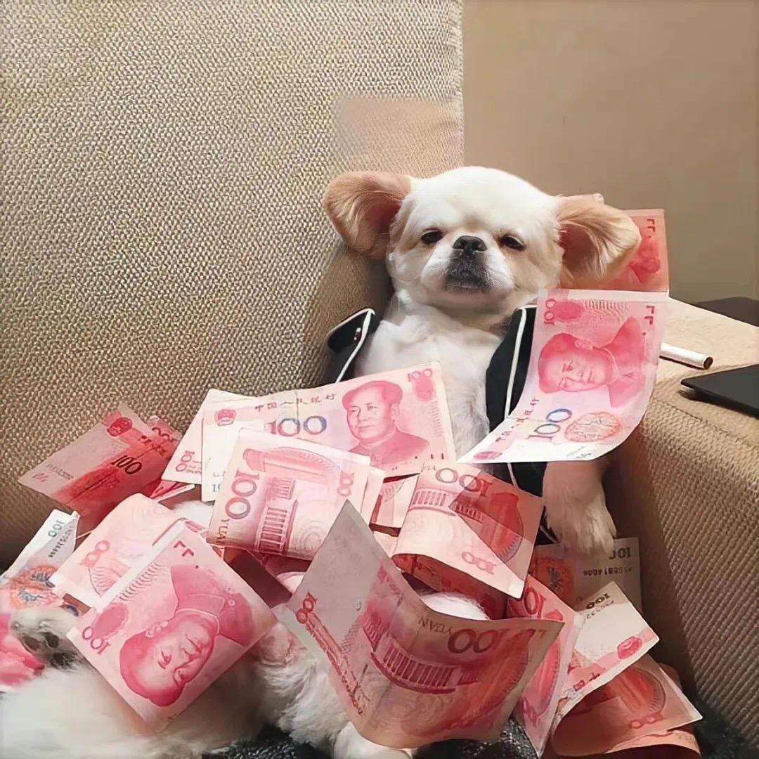 财神爷的小宝贝ᰔᩚ