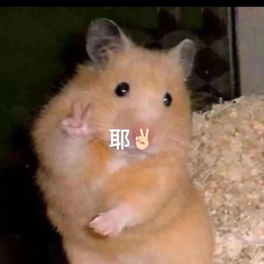 惠子困困王-