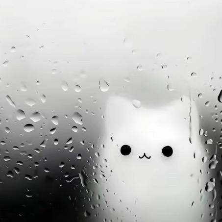小唐同学y