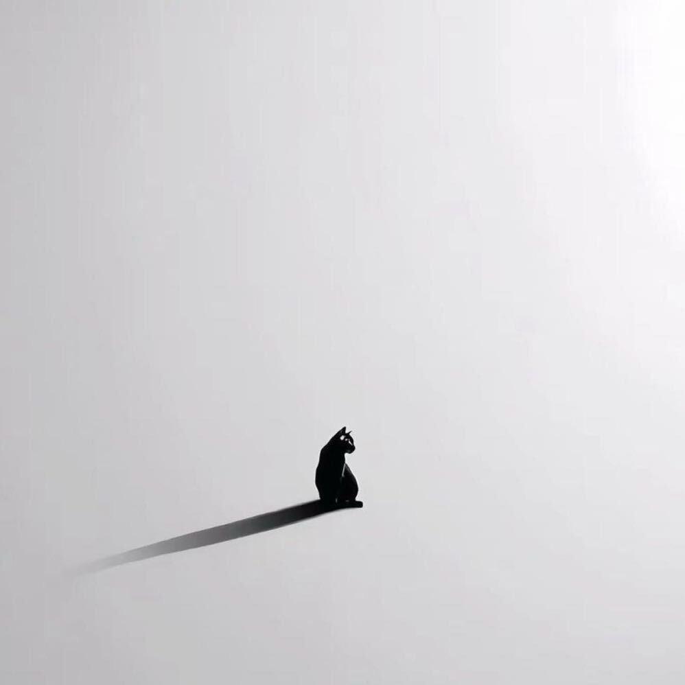 yo.