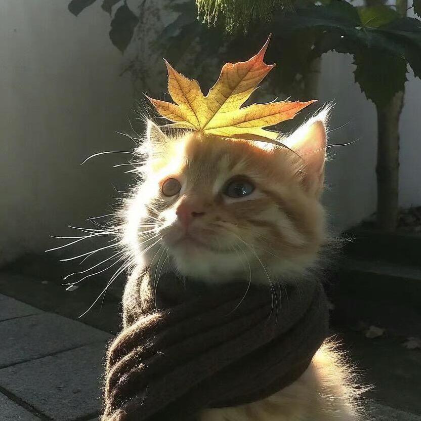 ˙·咘噜咘噜·