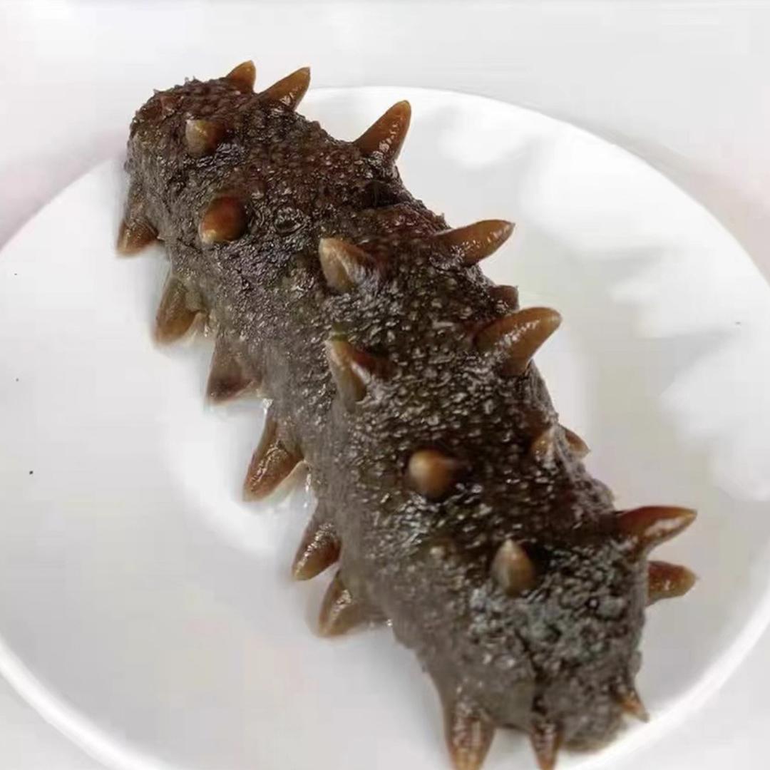 辽益参海参工厂甄选