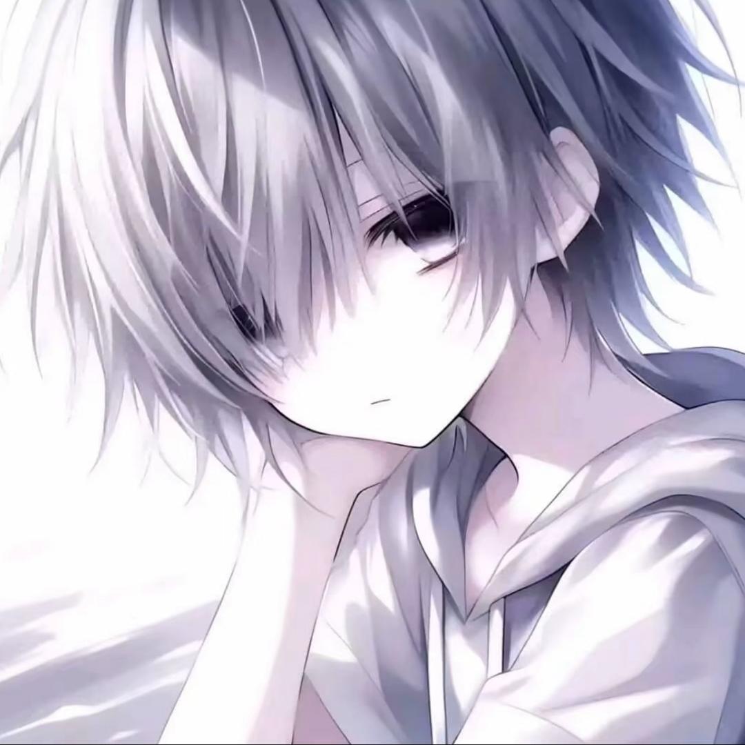 枫影