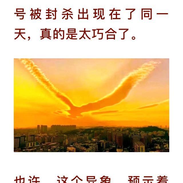 无鱼