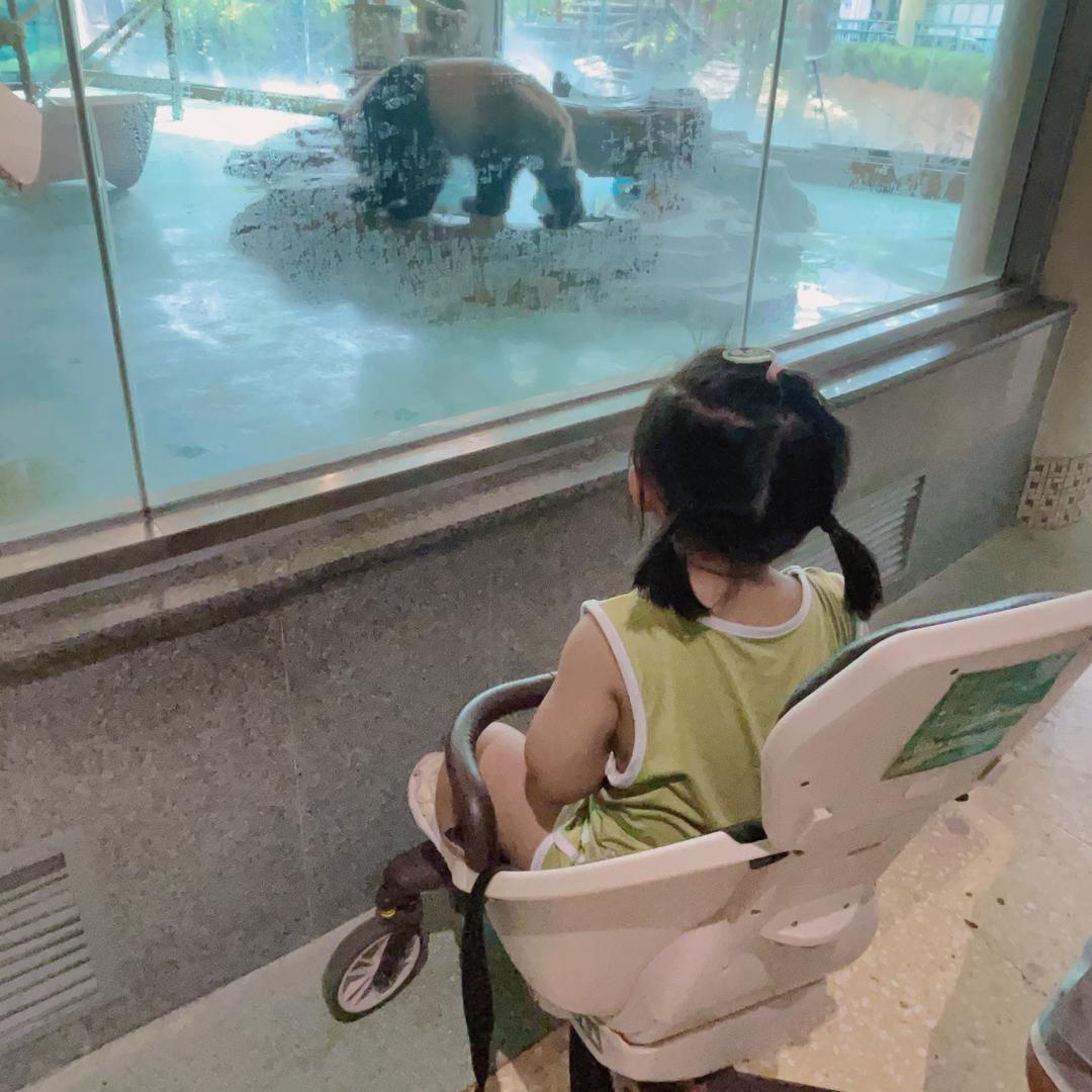 柚子柚童品
