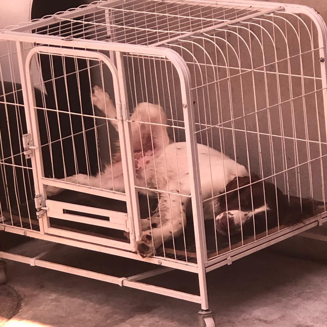 免费的自来水