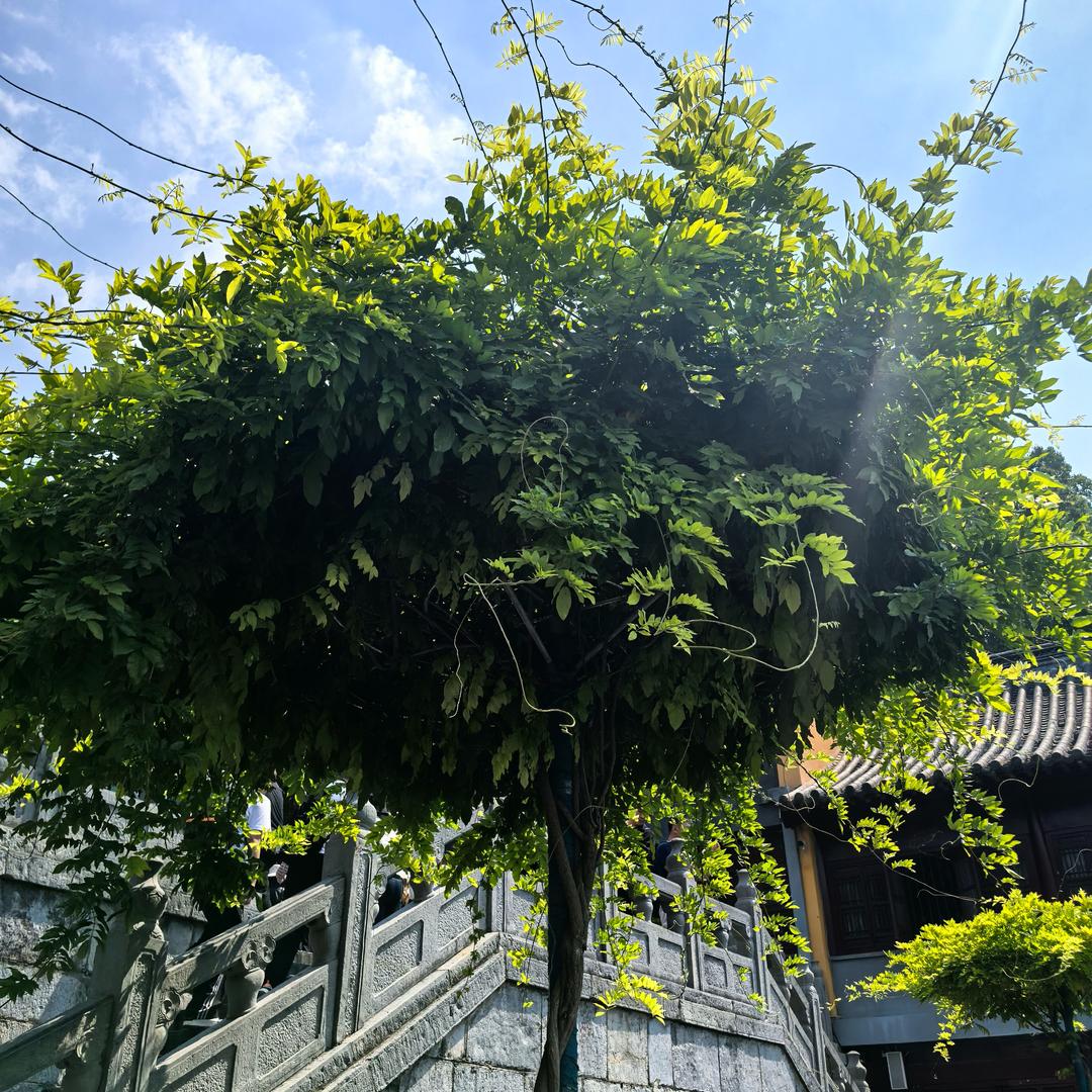 დ᭄ꦿ错过꧔ꦿ℘⸙