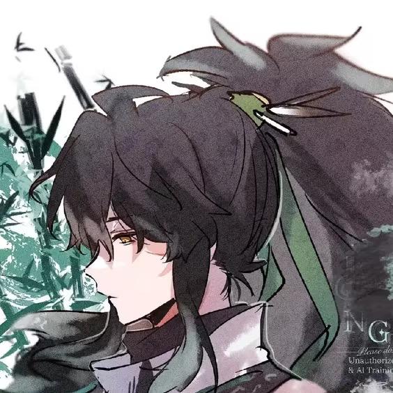 我在鸣潮开后宫