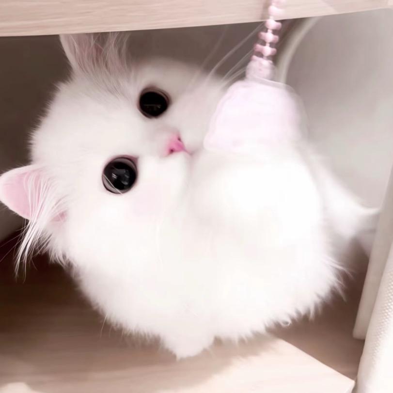 太坏