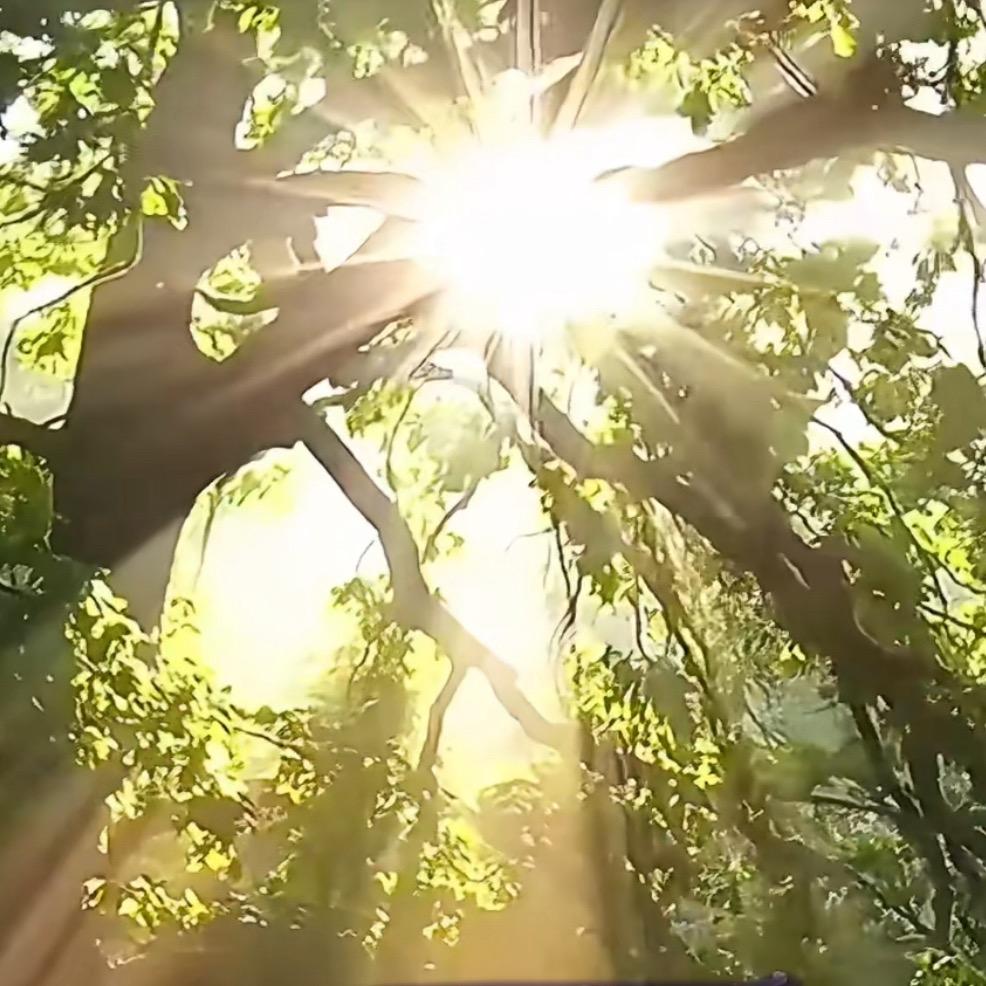 森宁☘️♣️❤️