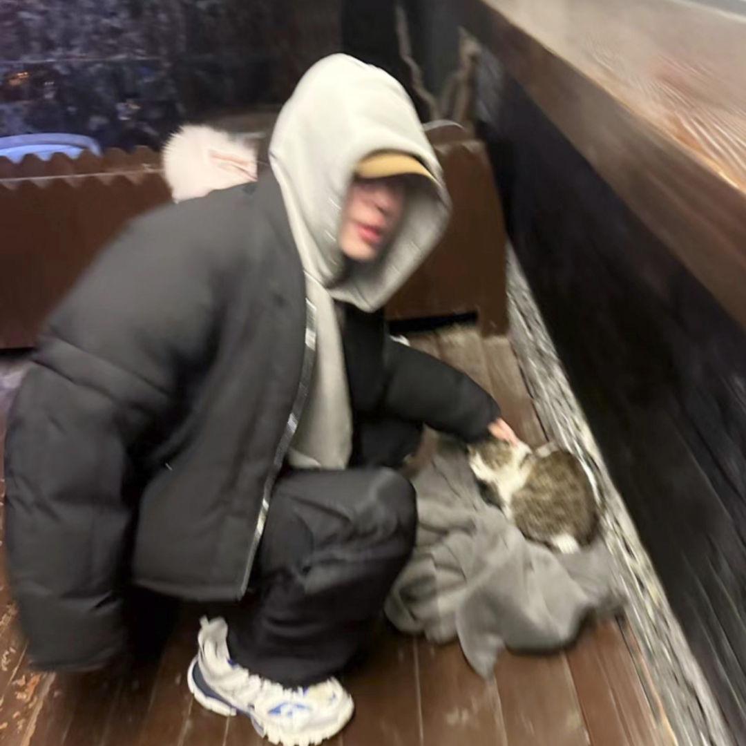 布嘉狄