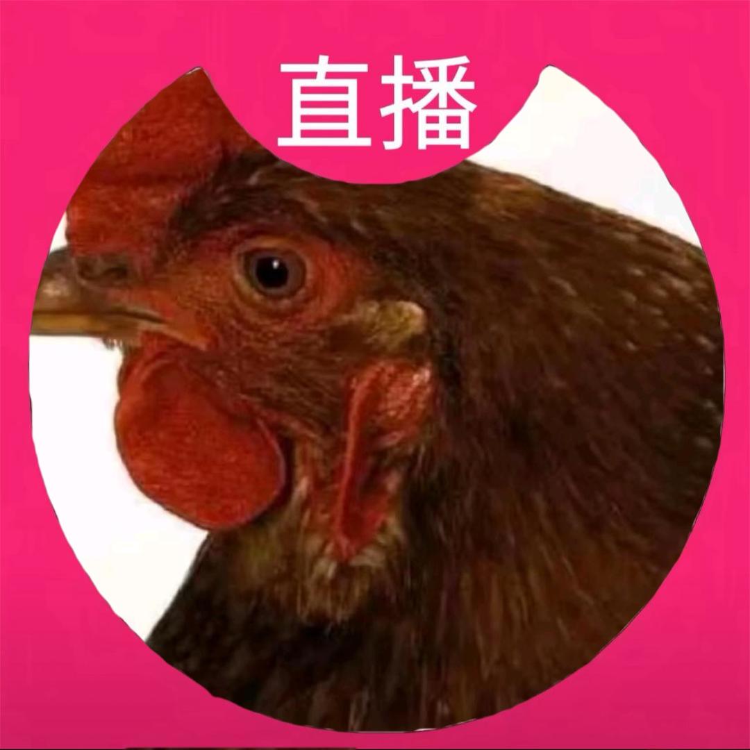 喂我花生