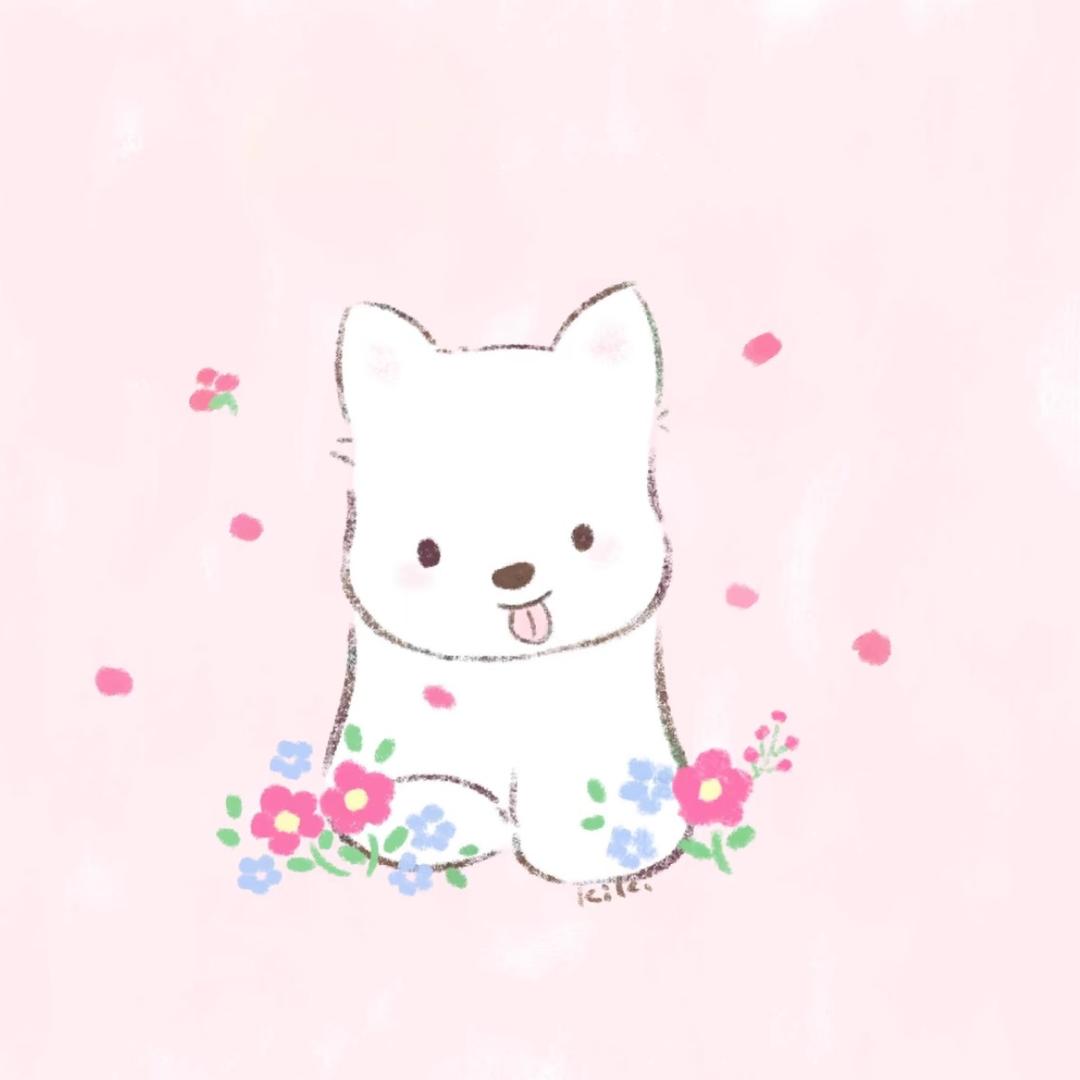 小小怡