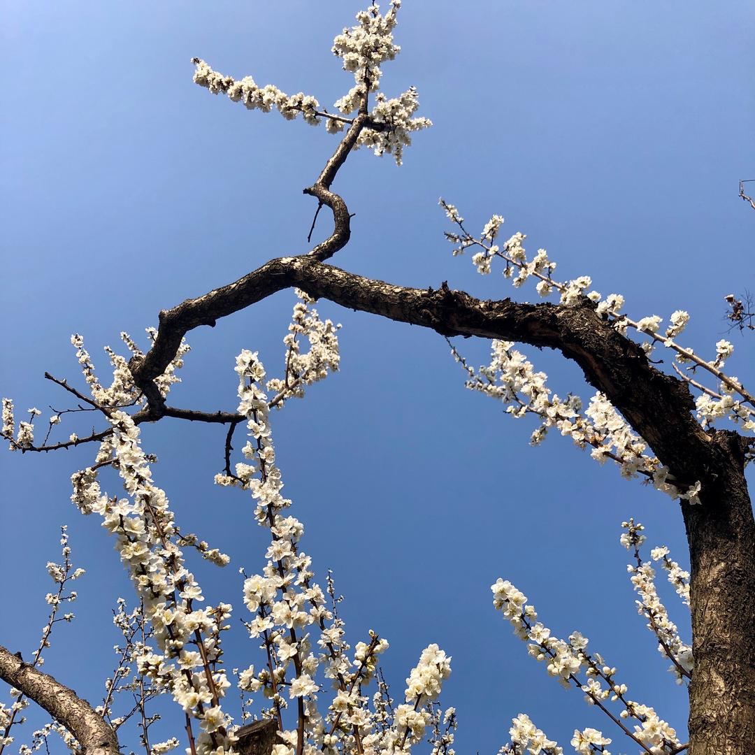 手机用户88824913272