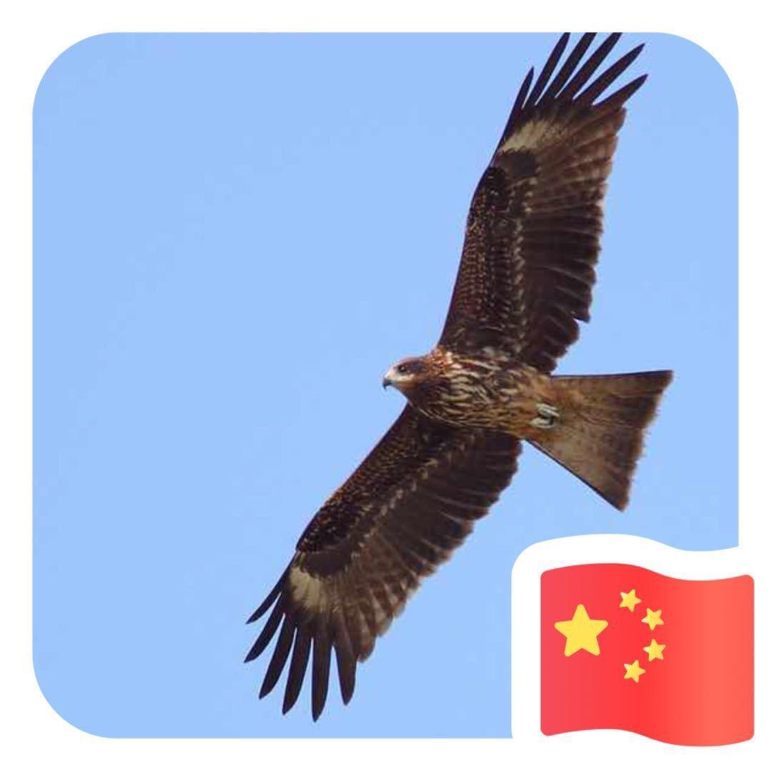 金陵企融老李