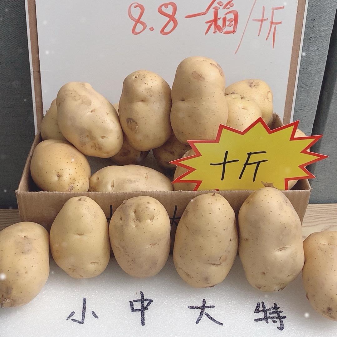 三农小刘-高原土豆
