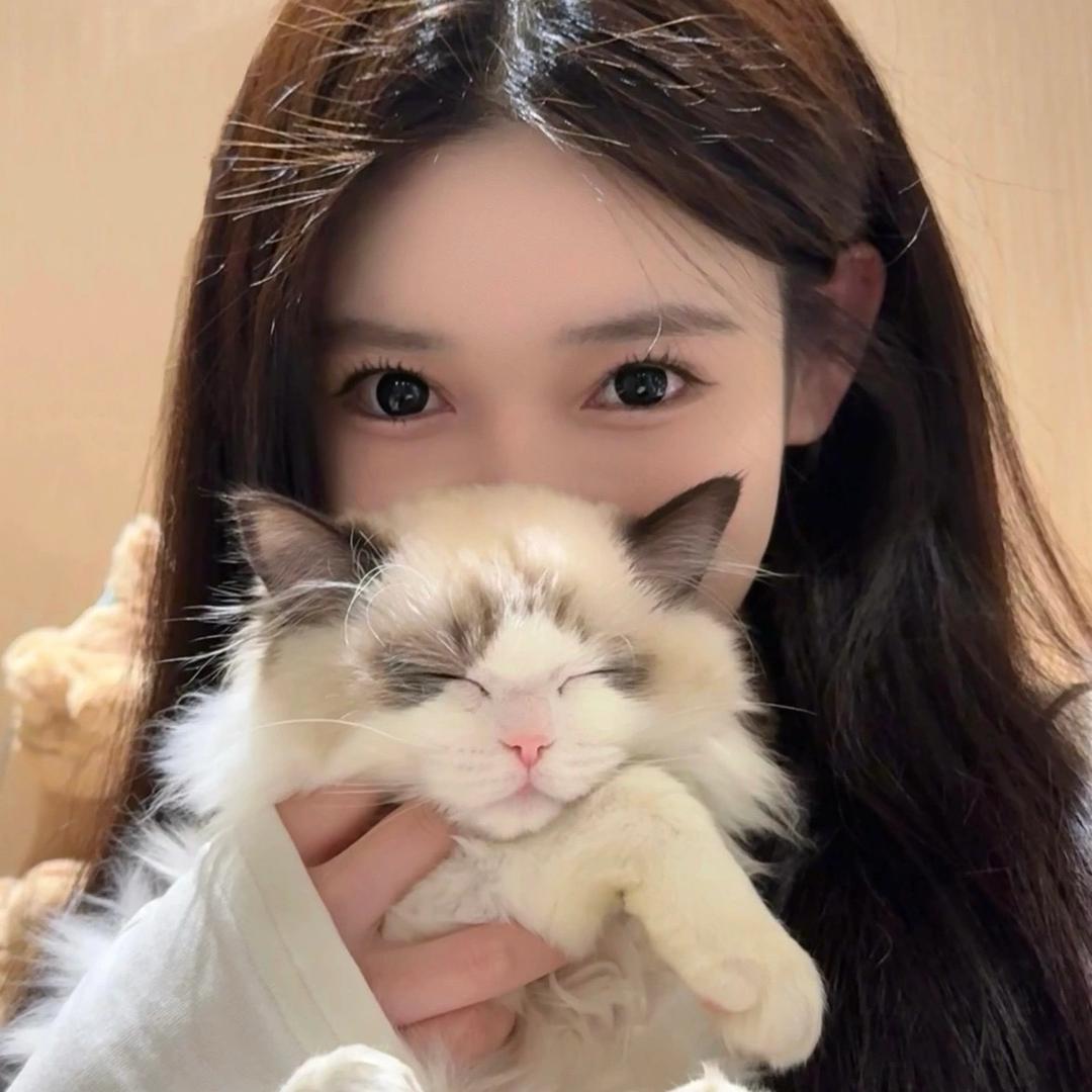 慧慧