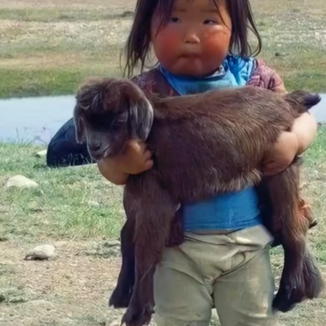咩咩杨.