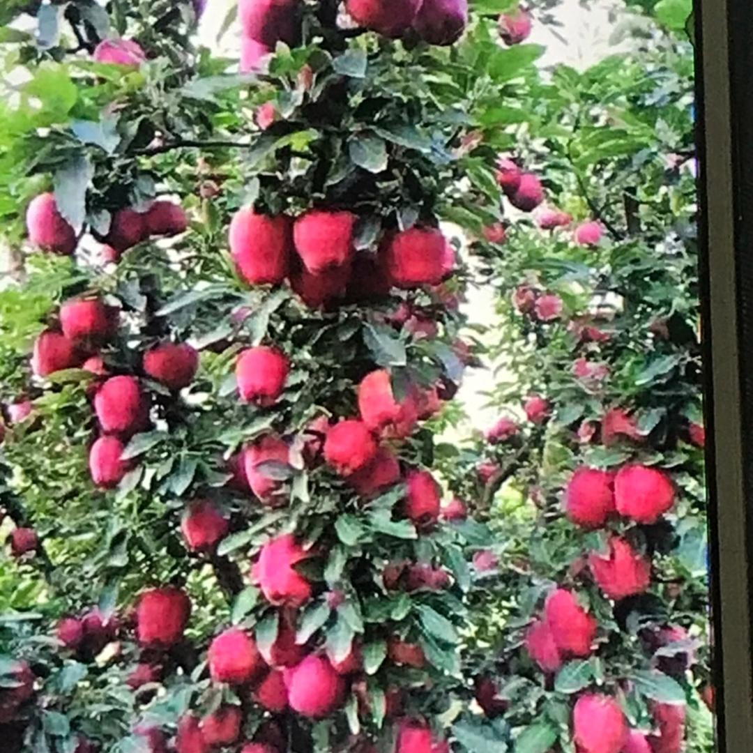 开心每一天“