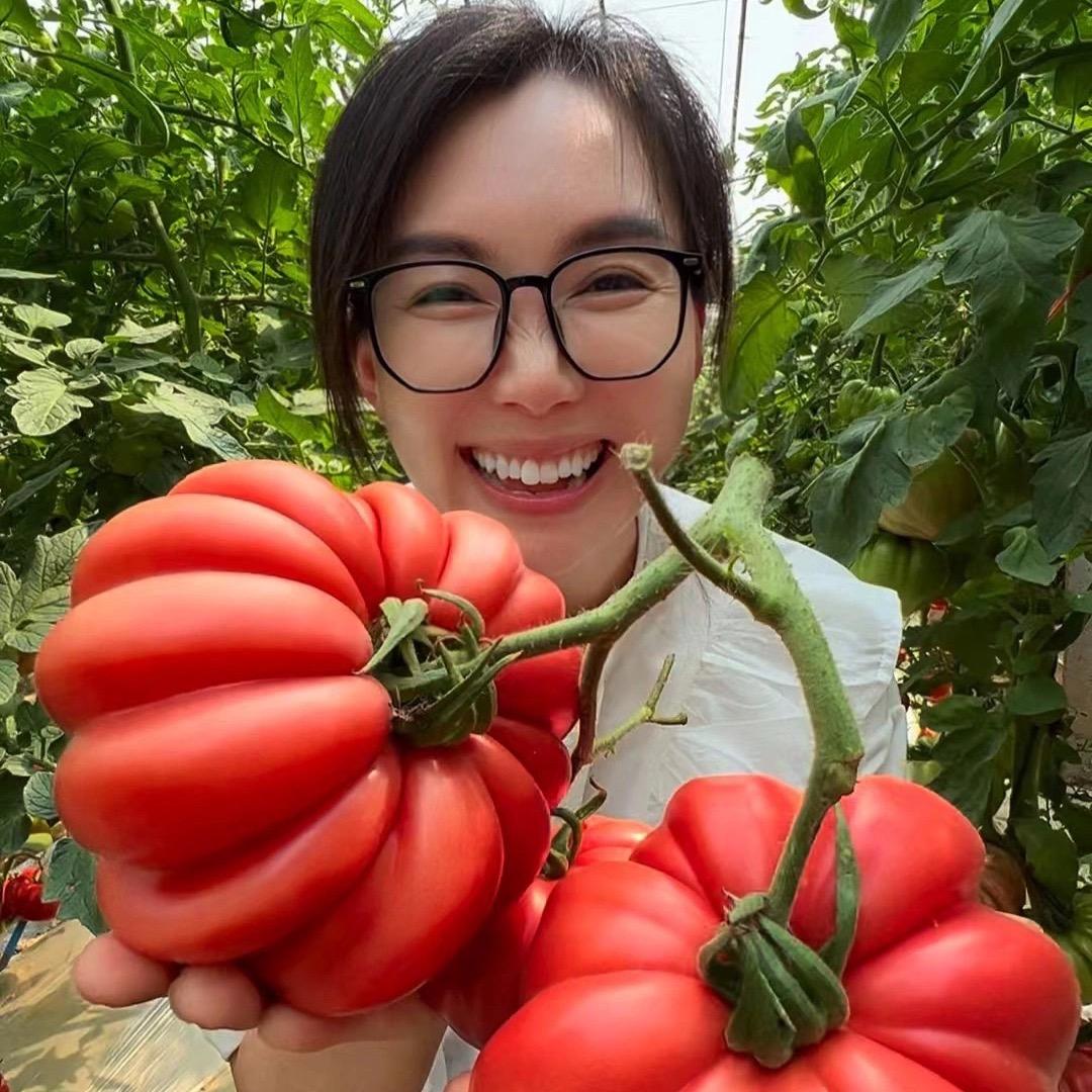 寿小贝🍅健康农品万里行