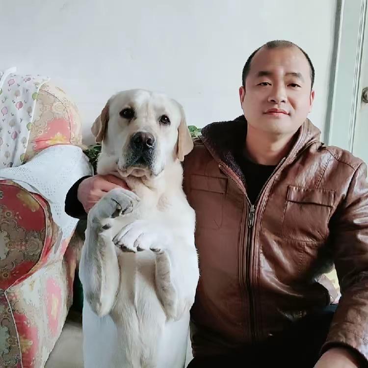 毛毛很旺财