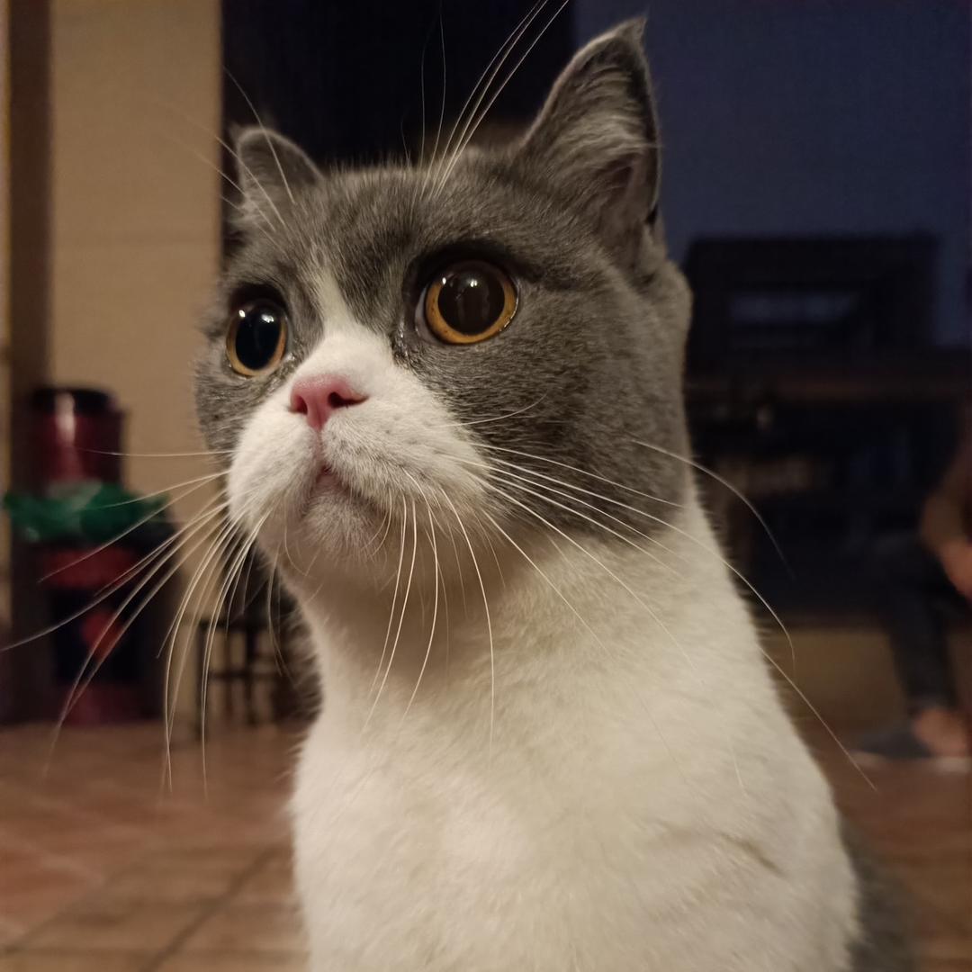 小E家